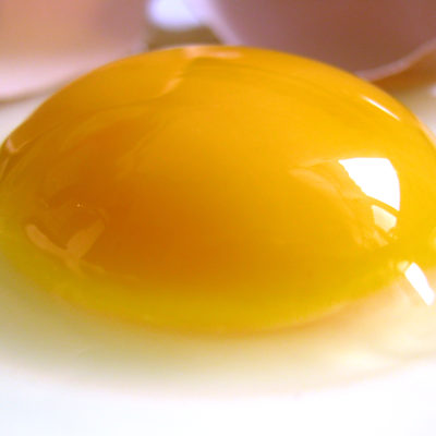 raw egg out of shell