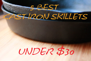 5 Best Cast Iron Skillets Under $30